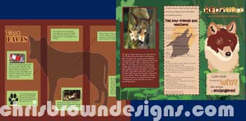 rwolfbrochure